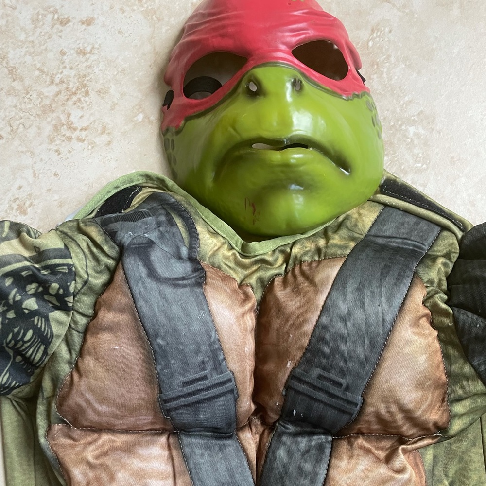 Ninja Turtle Costume